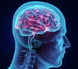 MemoryFuel cognitive improvement results