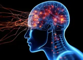 MemoryFuel review showing mental clarity benefits